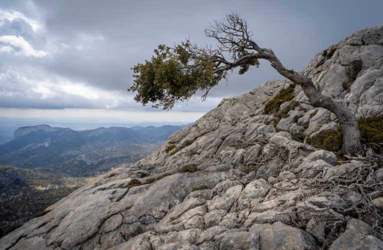 Denver: The Importance of Resilience in Overcoming Trauma